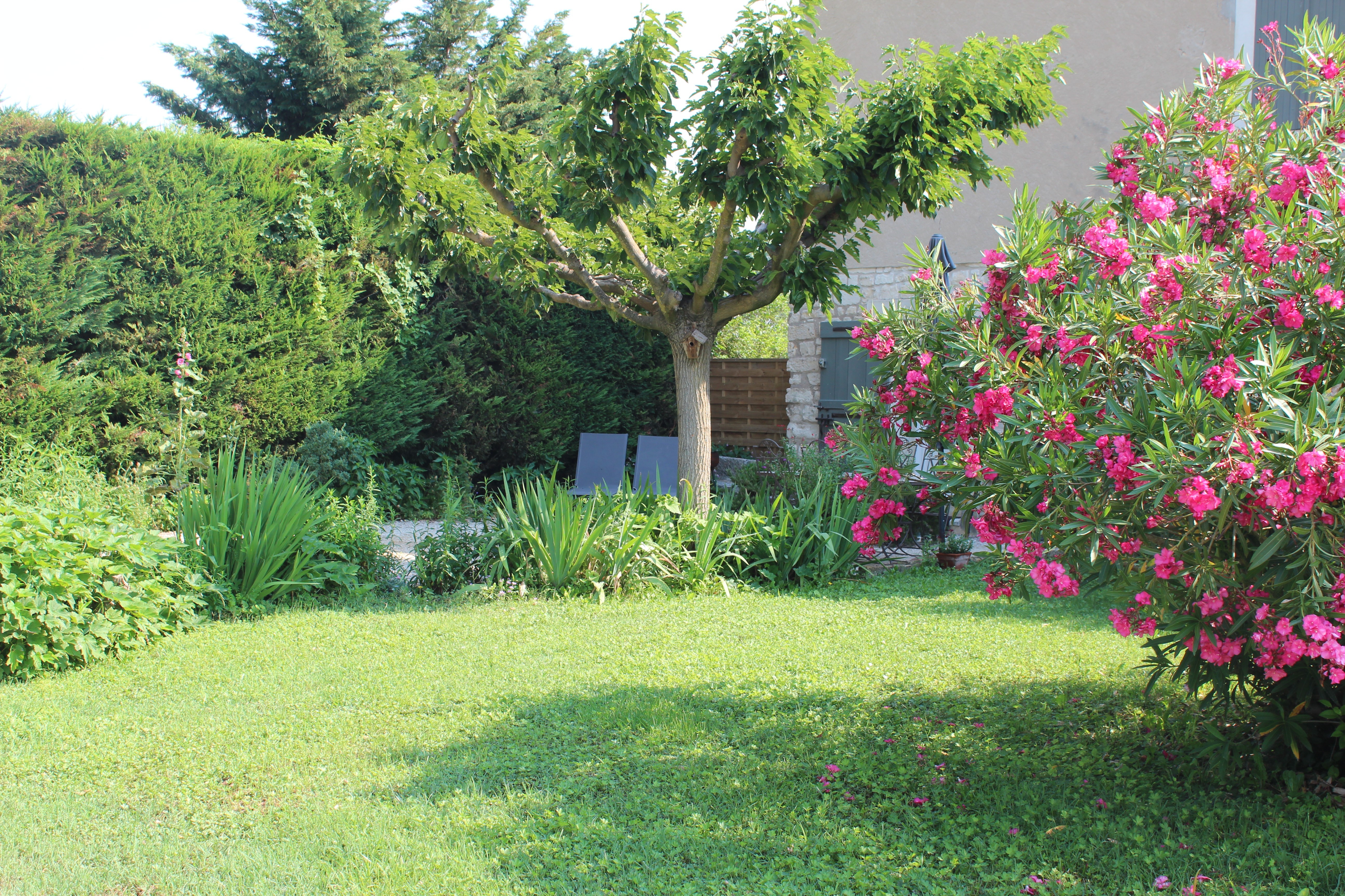 Photo n° 3 of the location