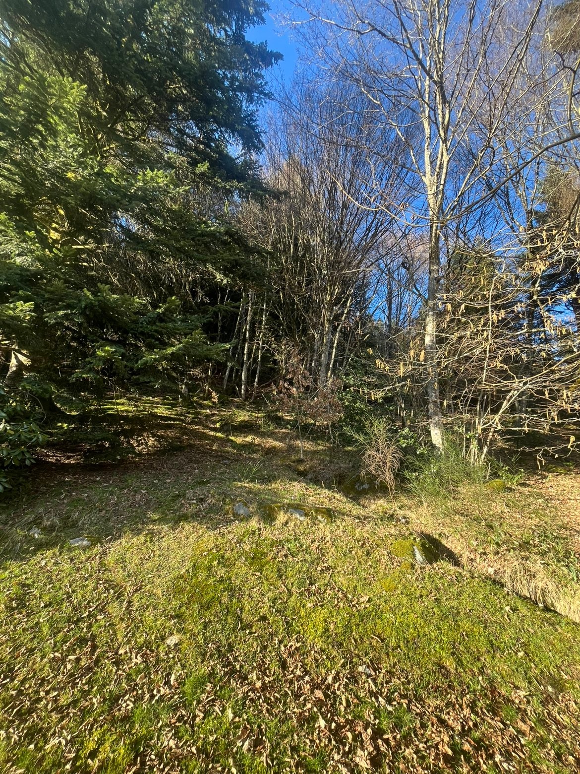 Jardin et forêt - Chalet des Noisetiers