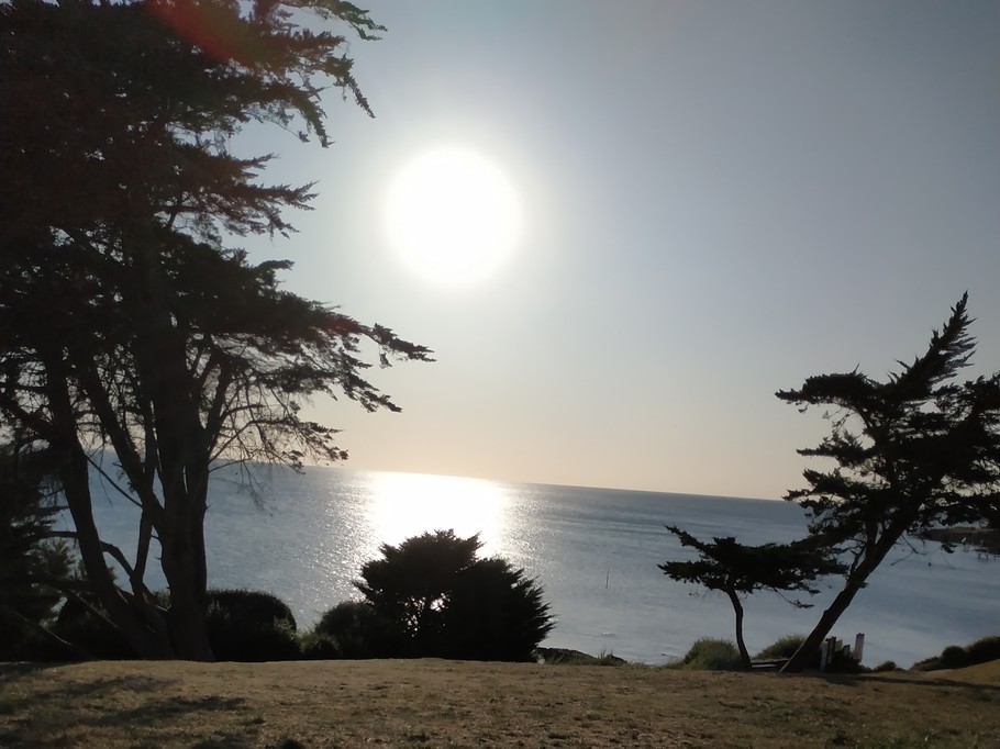 Photo n° 11 de la location
