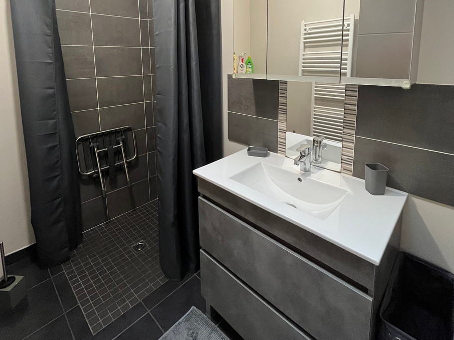 A bathroom adapted for people with reduced mobility, featuring a walk-in shower, a toilet and a vanity unit. 1 further separate toilet.