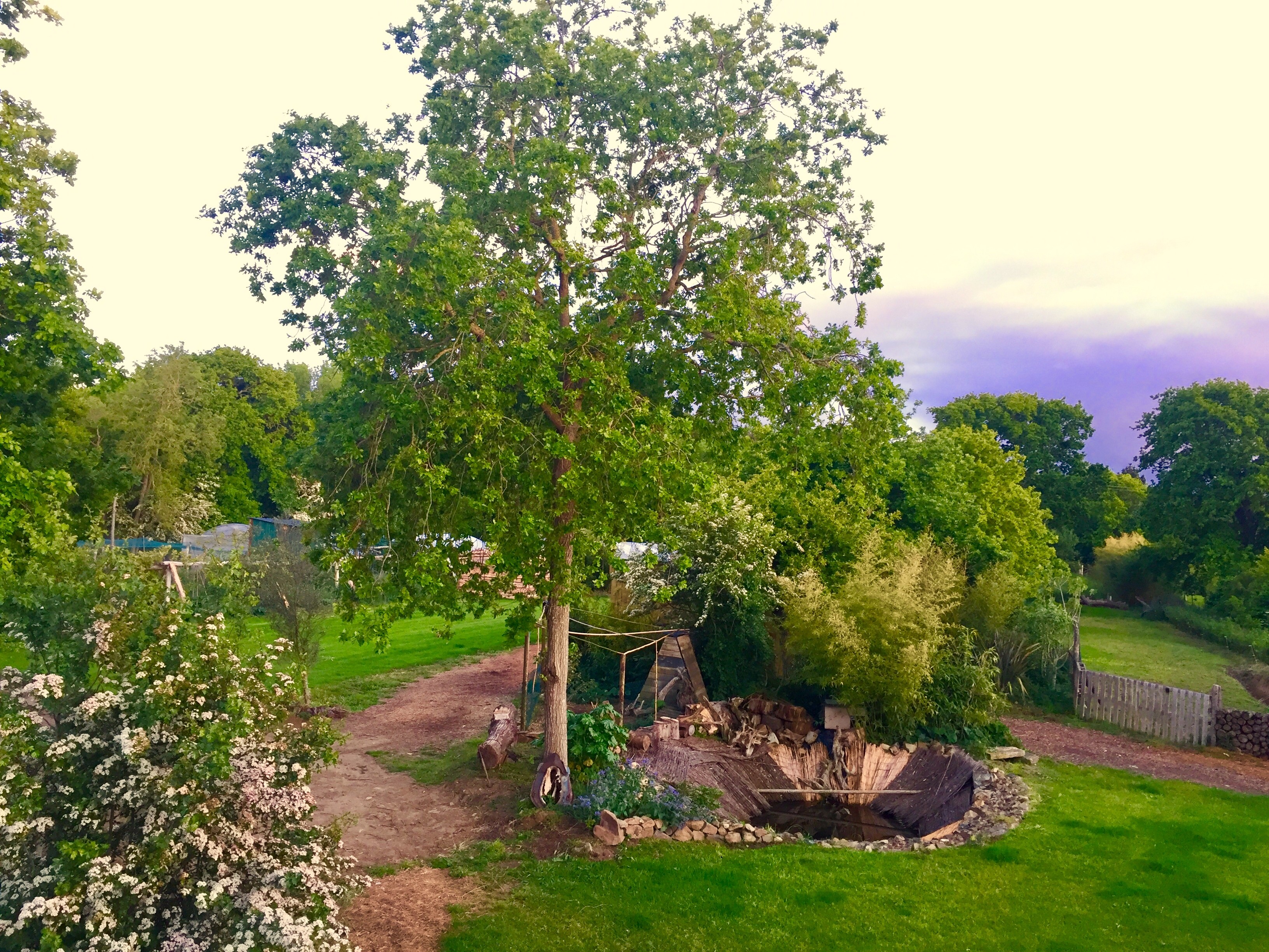 Image n° 4 de la location