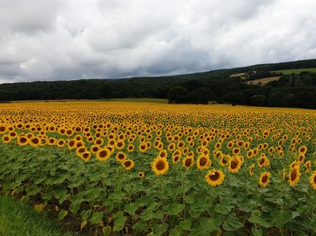 Photo n° 14 of the location