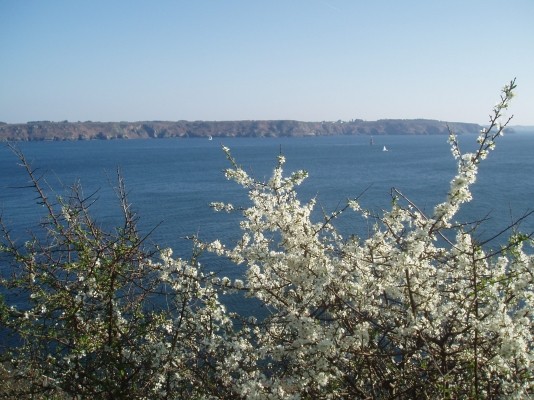 Photo n° 20 de la location