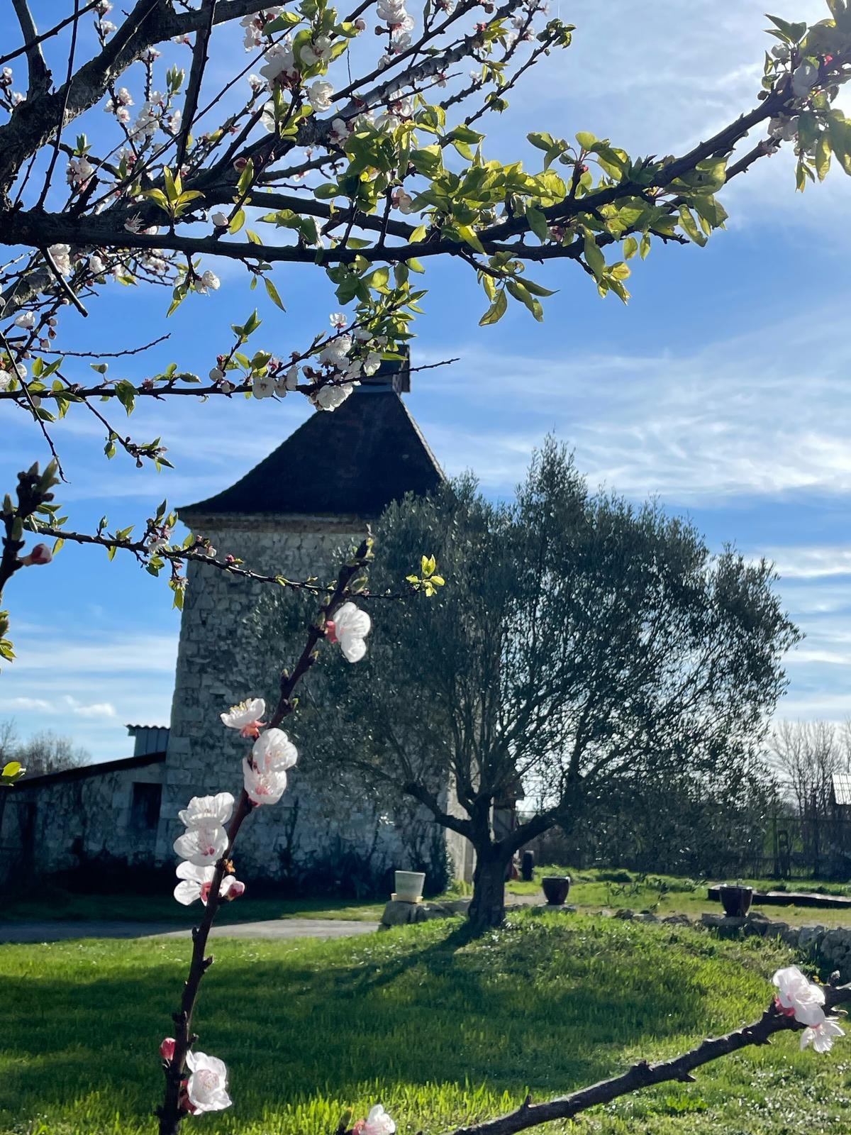 Photo n° 9 de la location