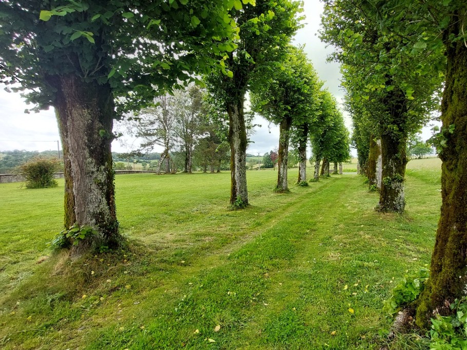 Grand jardin arboré - Idéal pour se détendre en famille