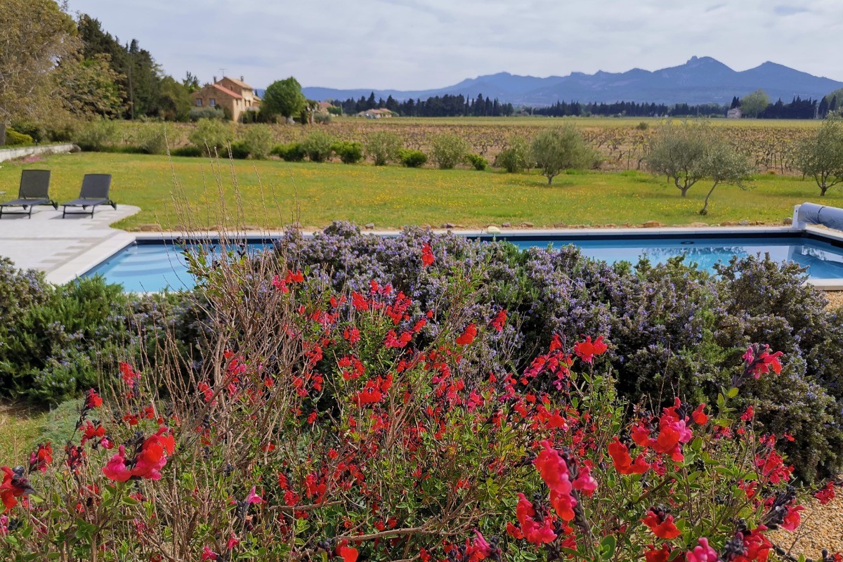 Vue piscine