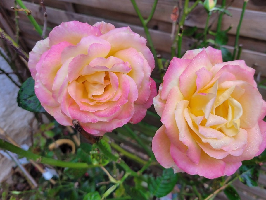 Photo n° 16 de la location