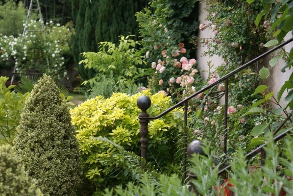 Chambre d'hôtes - Abbaye Autrey - Jardin