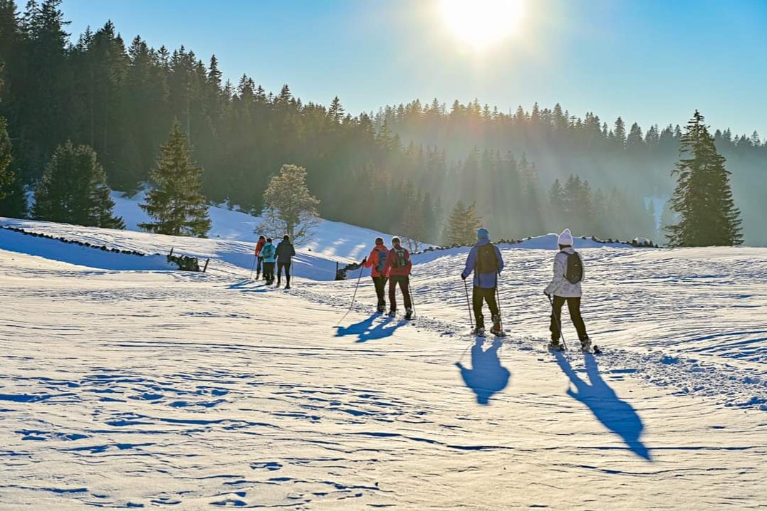 Randonneurs dans le Jura