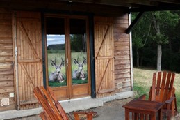 Image n° 2 de la location