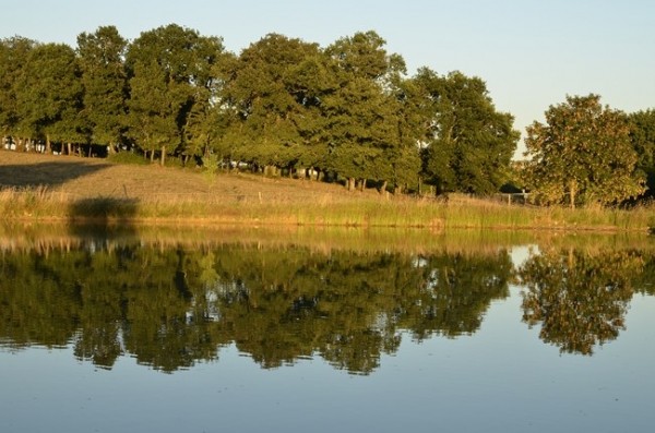 Etang sur la proprièté