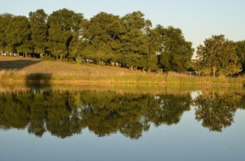 Etang sur la proprièté