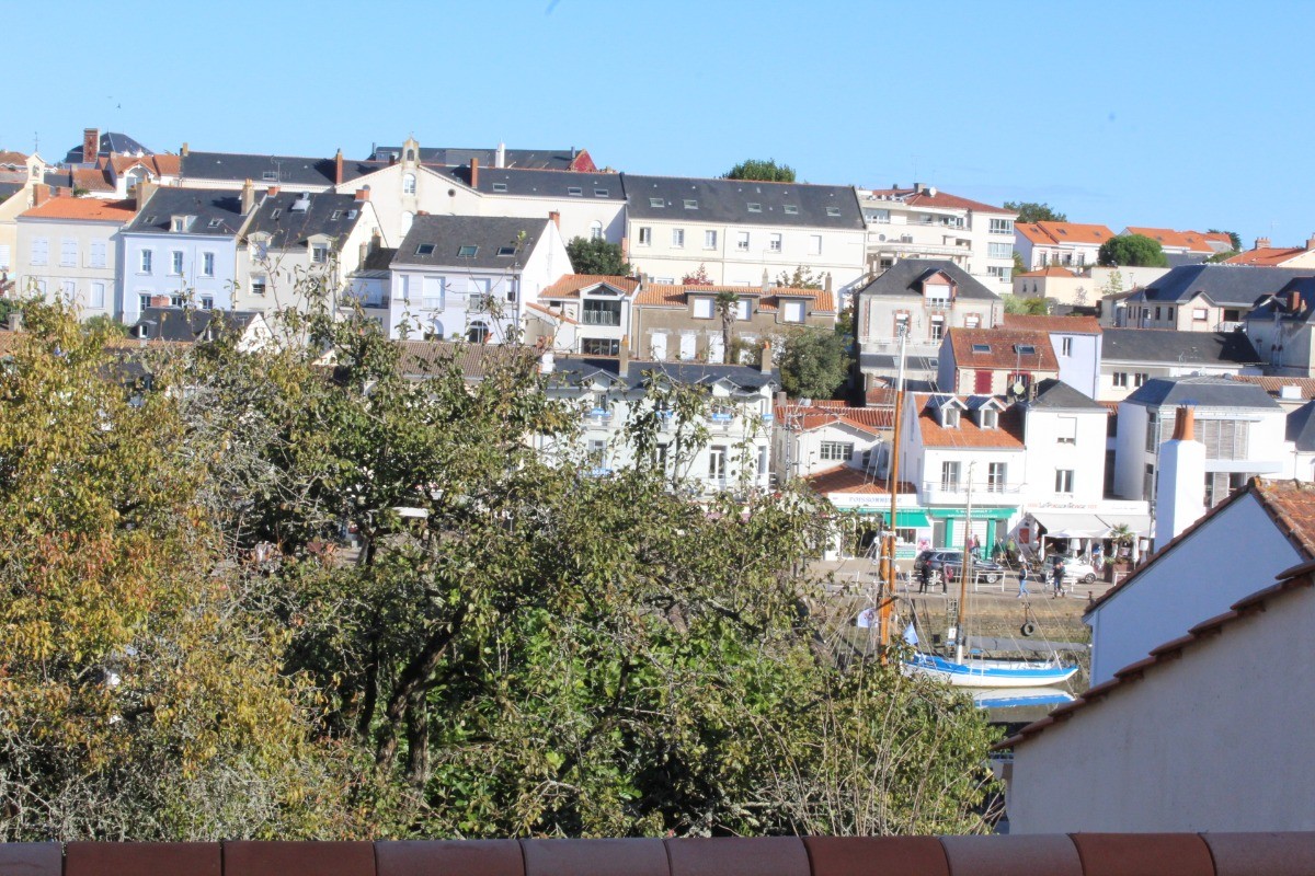 le port vu de la terrasse