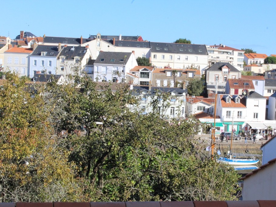 le port vu de la terrasse
