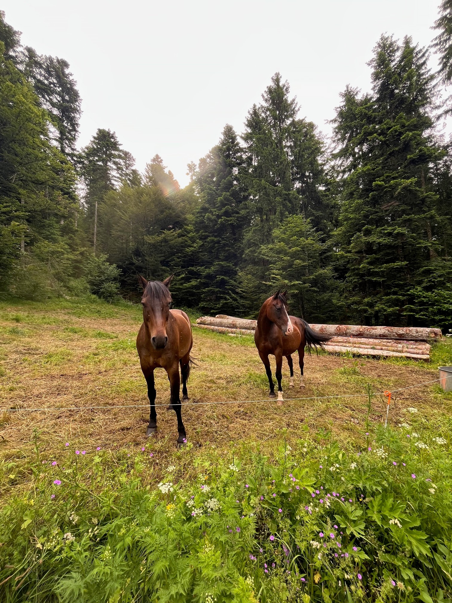 Photo n° 16 de la location