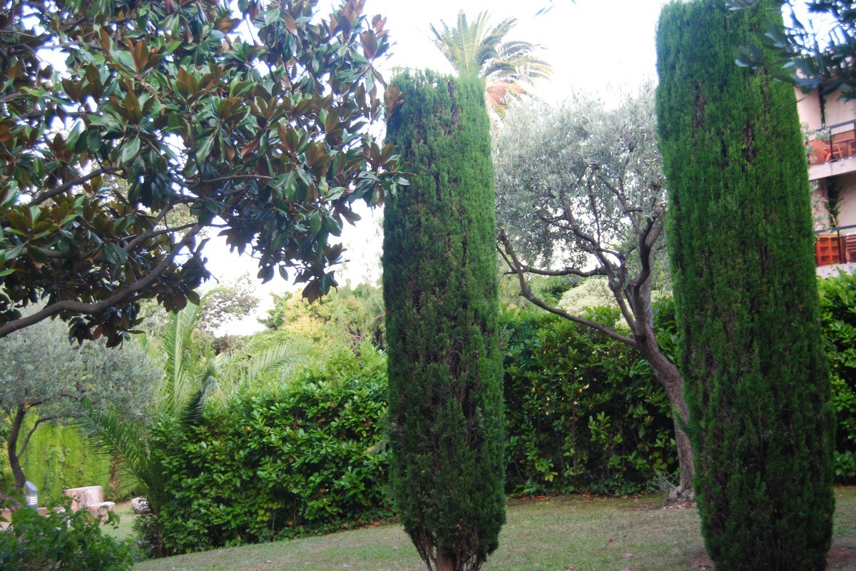 jardin