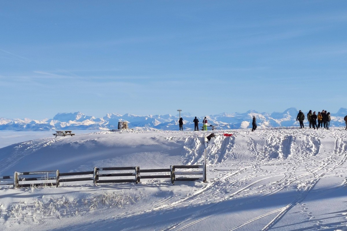 Panorama sur les Alpes