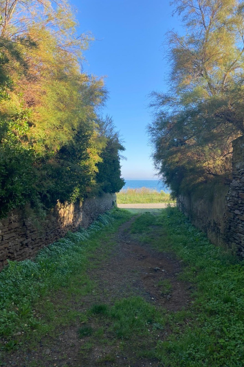 Chemin d'accès à la plage depuis la propriété