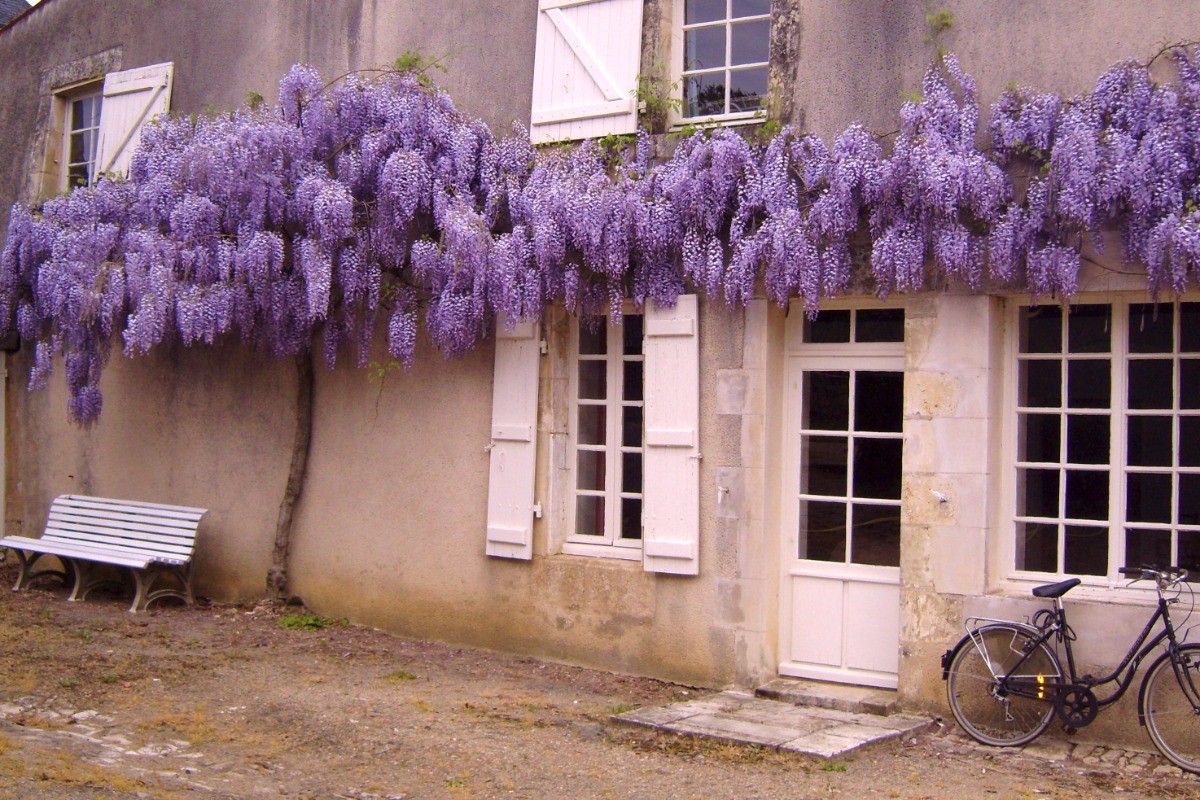 Devant de la maison