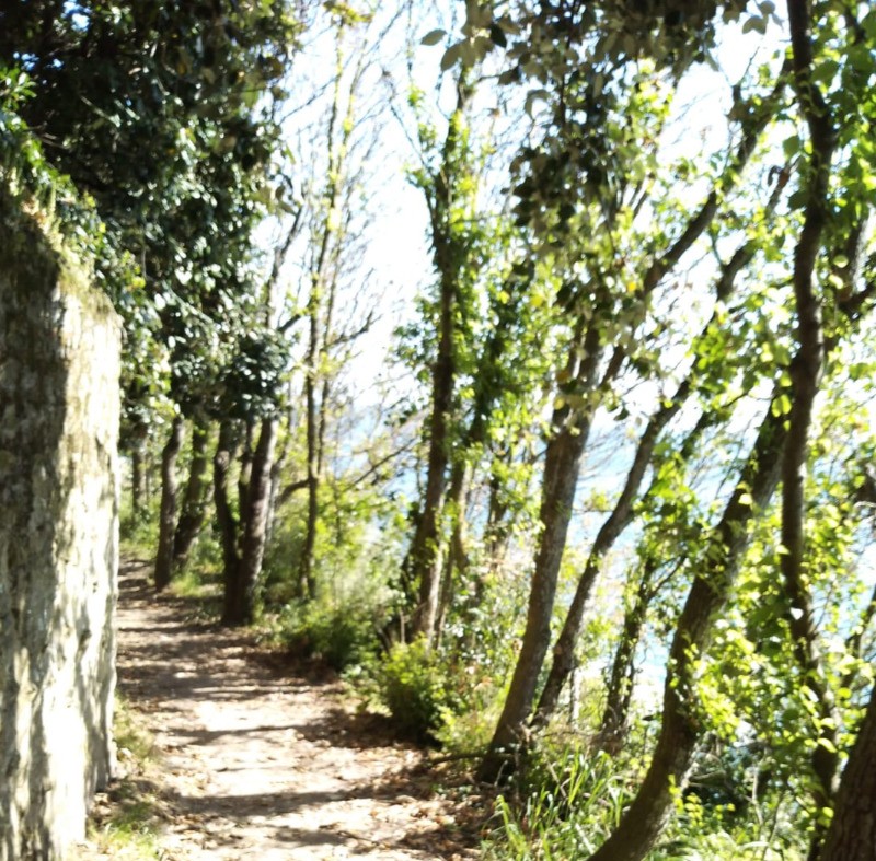 Balade bord de Rance