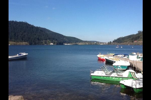 Lac de Gérardmer - Appartement Jaune Jonquille