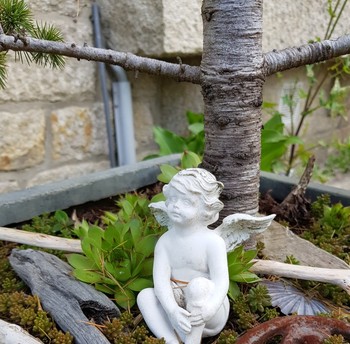 Photo n° 11 de la location