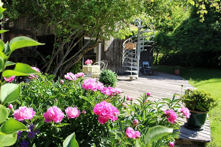 Photo n° 4 de la location