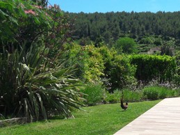 Le Mas des Roses, Sanary-sur-Mer, Var, Côte d'Azur