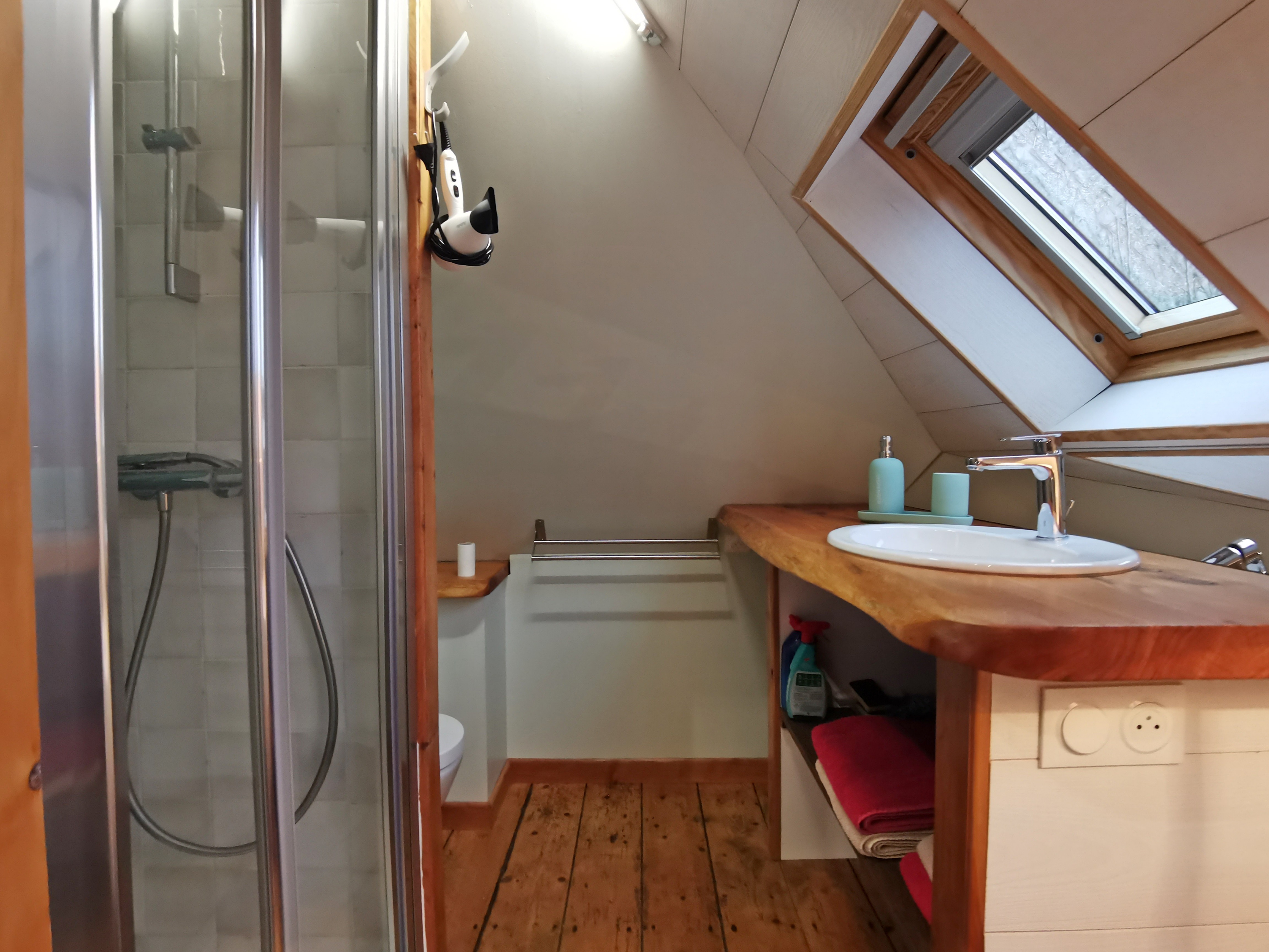 Shower room with WC in