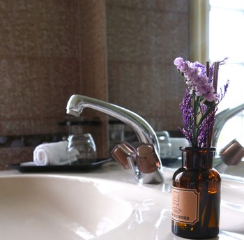 Photo n° 4 de la location