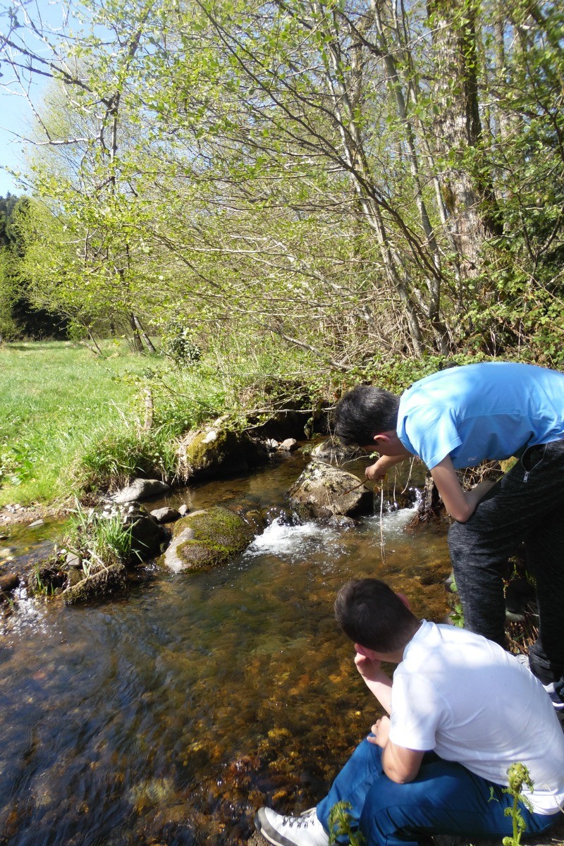 Le ruisseau à l'arrière du terrain