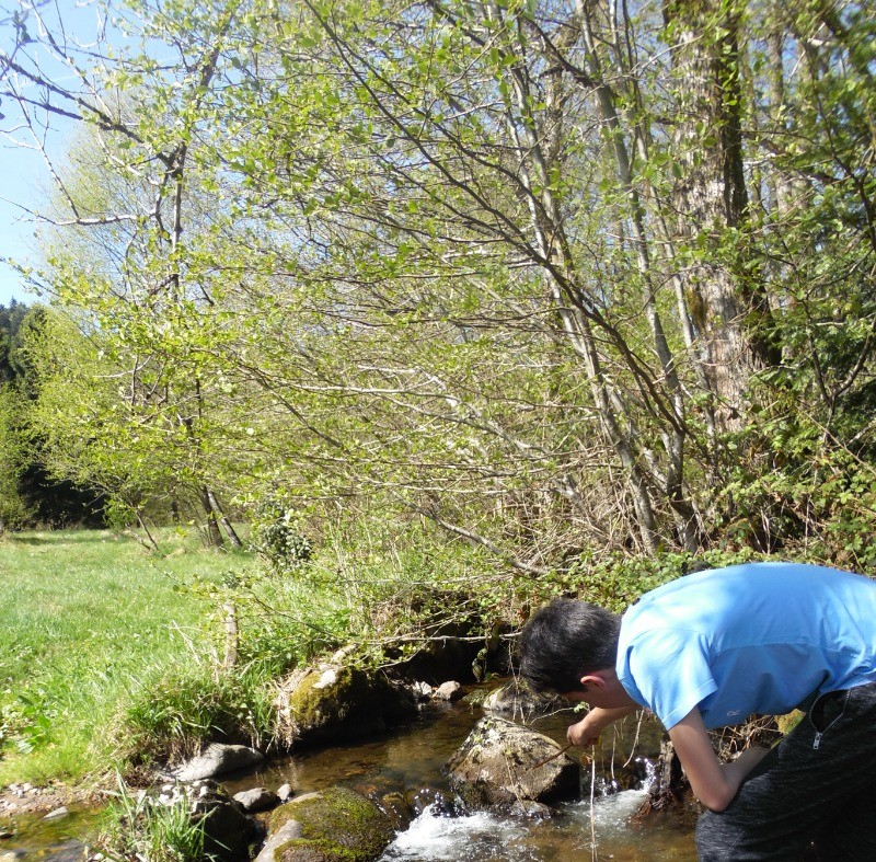 Le ruisseau à l'arrière du terrain