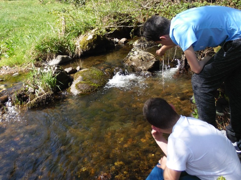 Le ruisseau à l'arrière du terrain