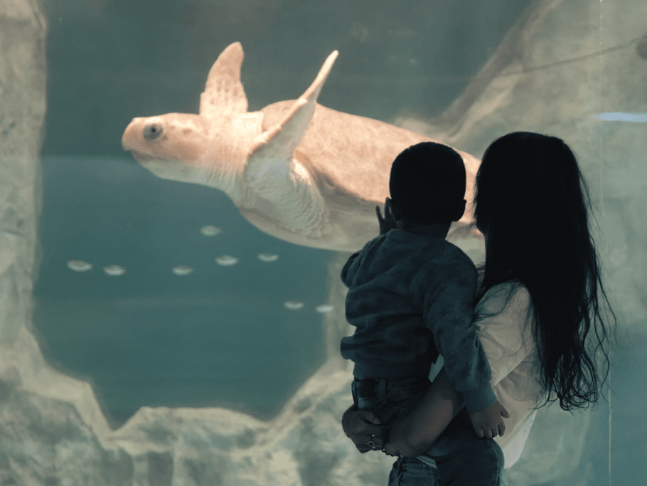 Grand Aquarium de Saint-Malo