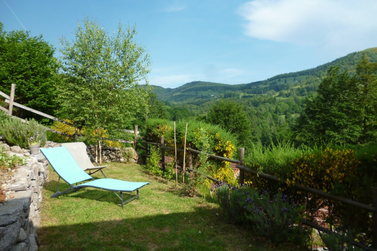 Jardin arboré