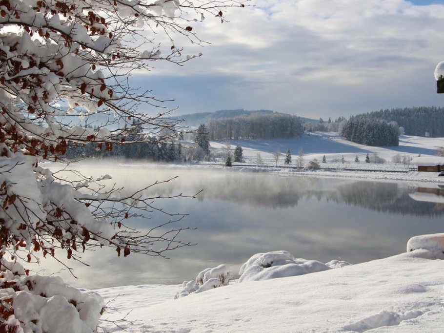 Photo n° 1 de la location