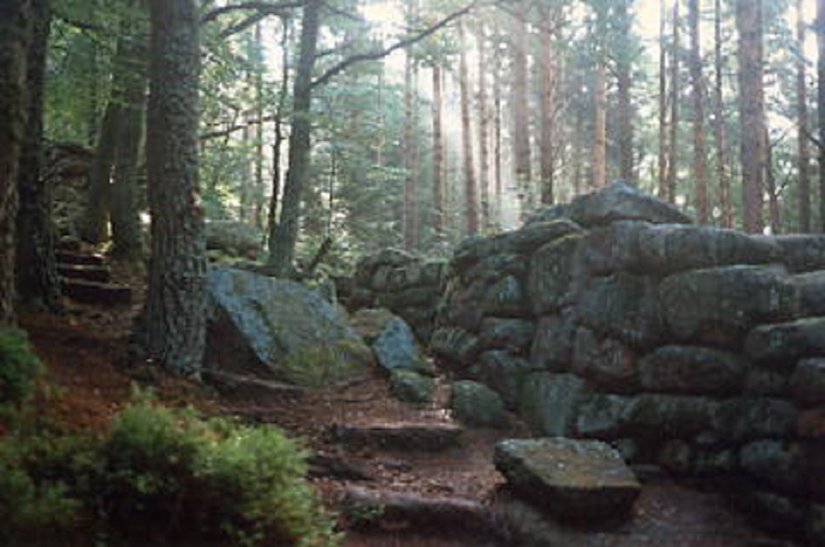 Mur paien au Mont Ste odile