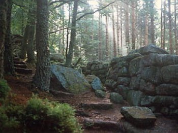 Mur paien au Mont Ste odile