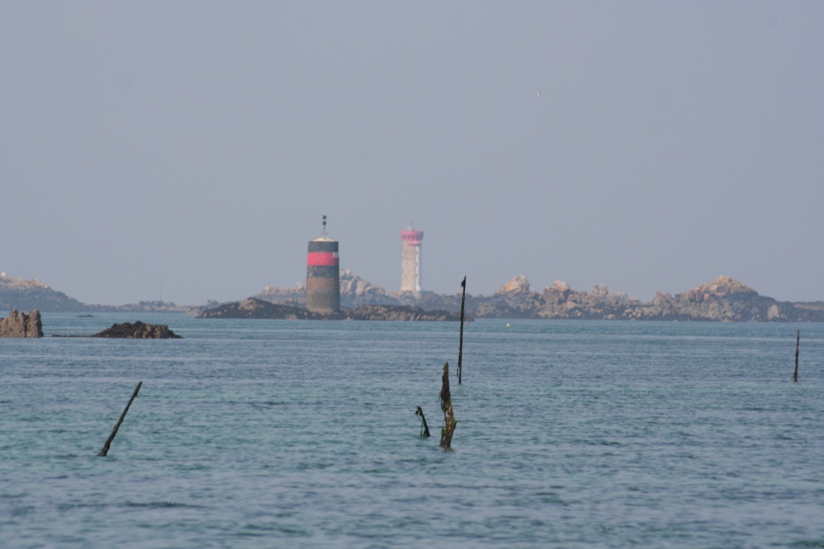 Photo n° 19 de la location