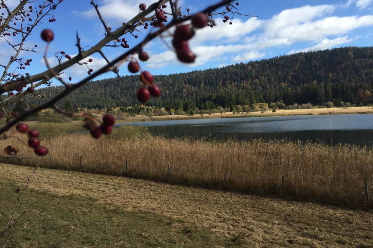 Le lac