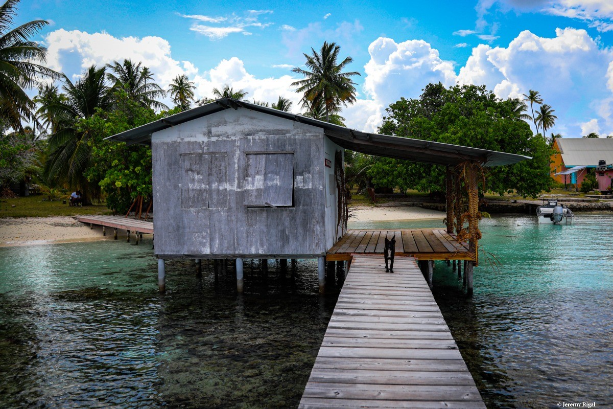 Photo n° 3 de la location