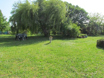 Jardin
