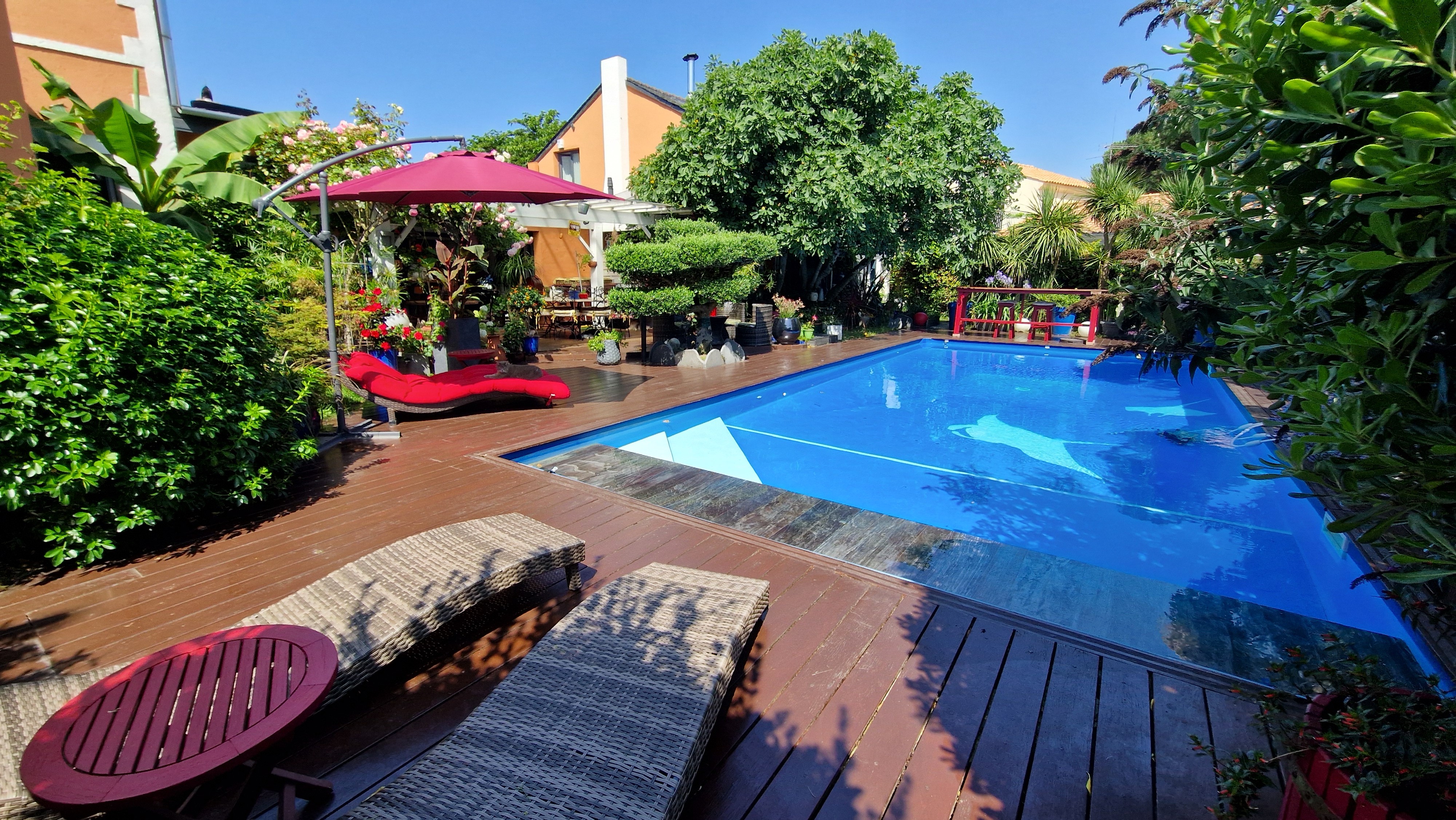 Jardin