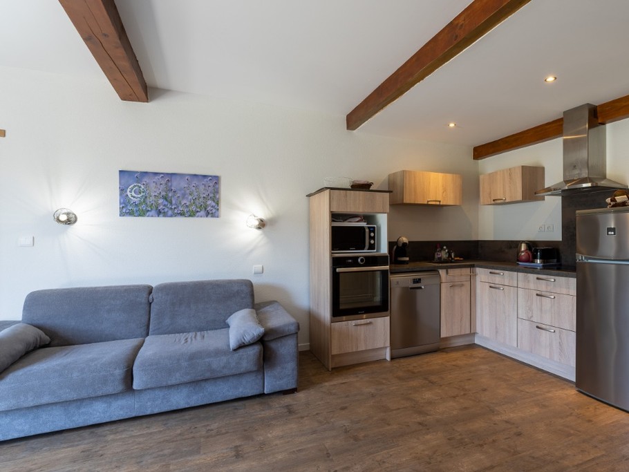 Cuisine aménagée , séjour