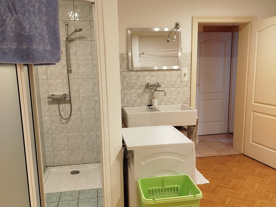 Lingerie avec machine à laver, sèche-linge, douche et lavabo