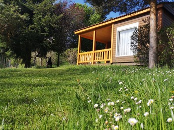 Photo n° 2 de la location