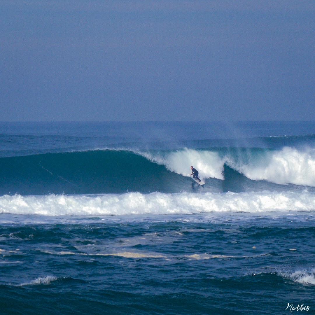 Surf