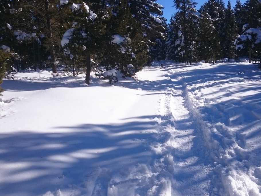 Sentier raquettes autour de Font-Romeu