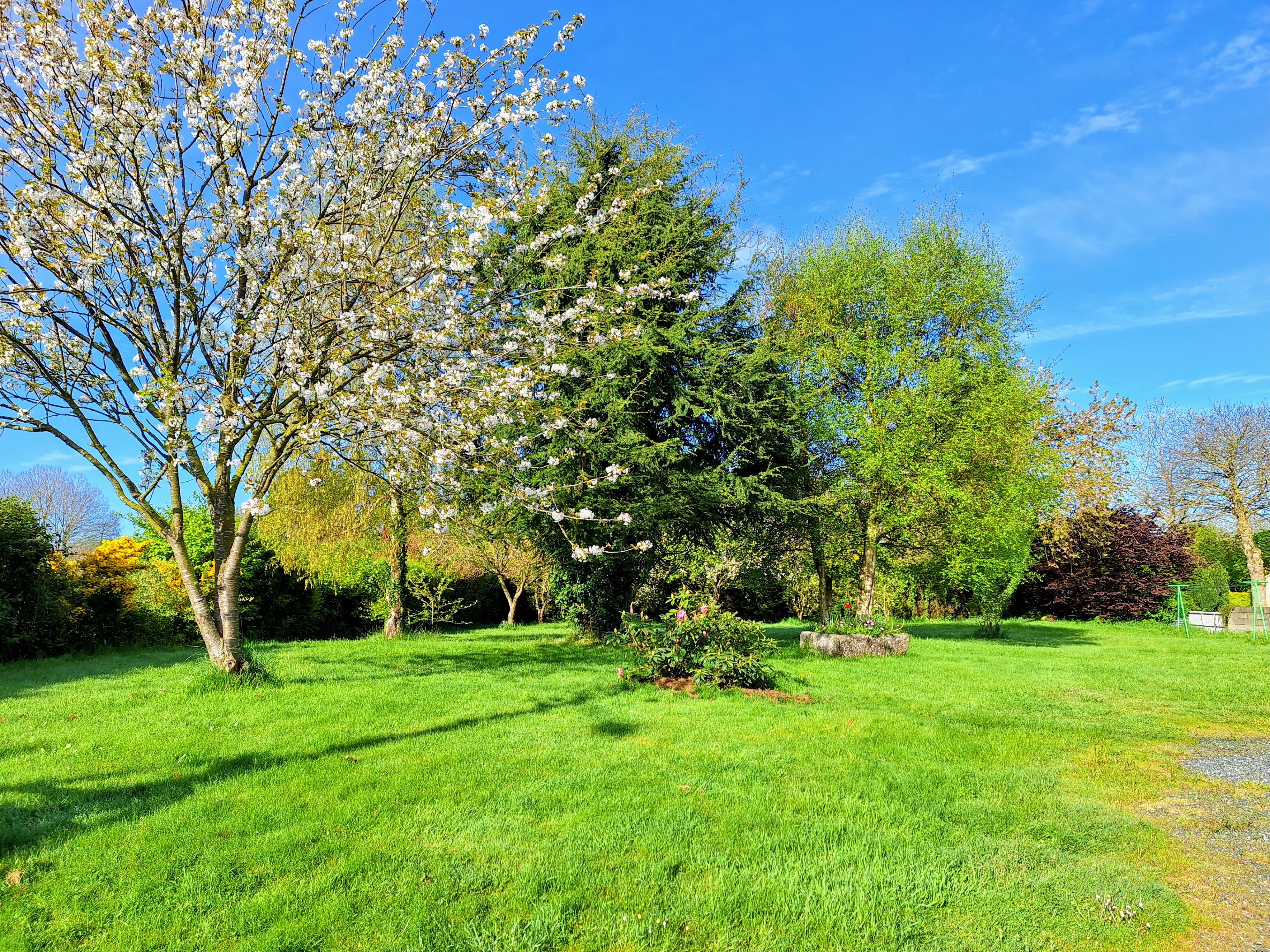 parc au printemps