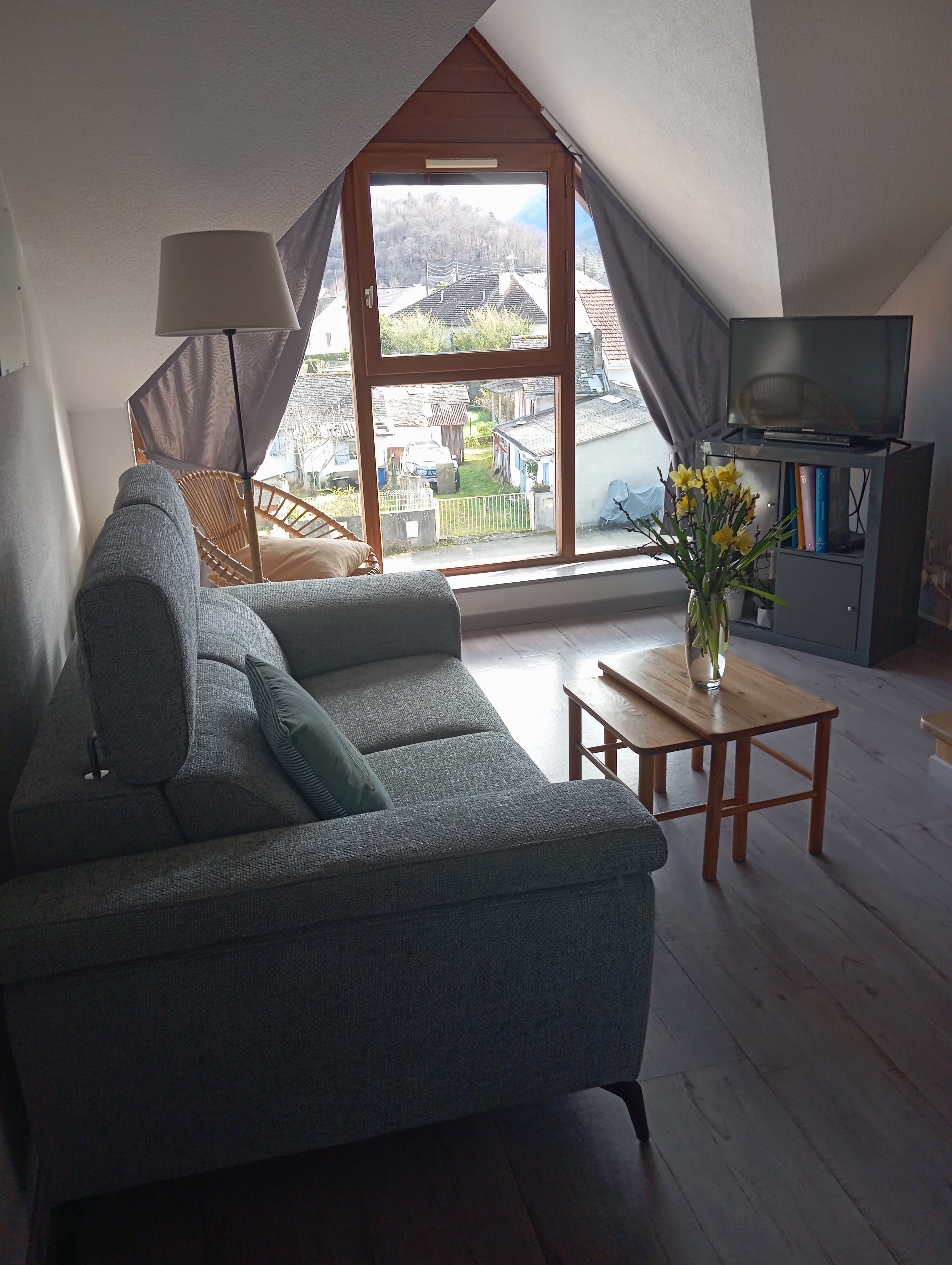 SALON : TV Lecteur DVD Radio